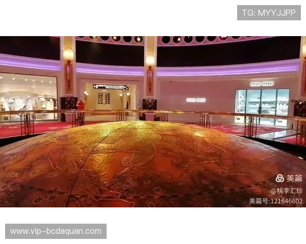 顶级娱乐城：豪华设施与精彩表演完美结合的娱乐天堂
