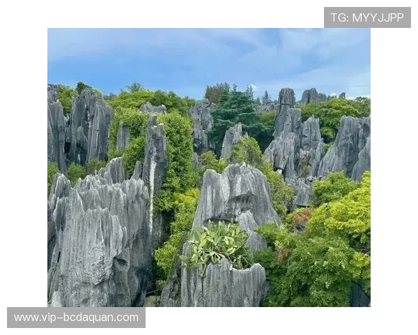 亚星娱乐平台注册流程详解新手快速上手的完整指南